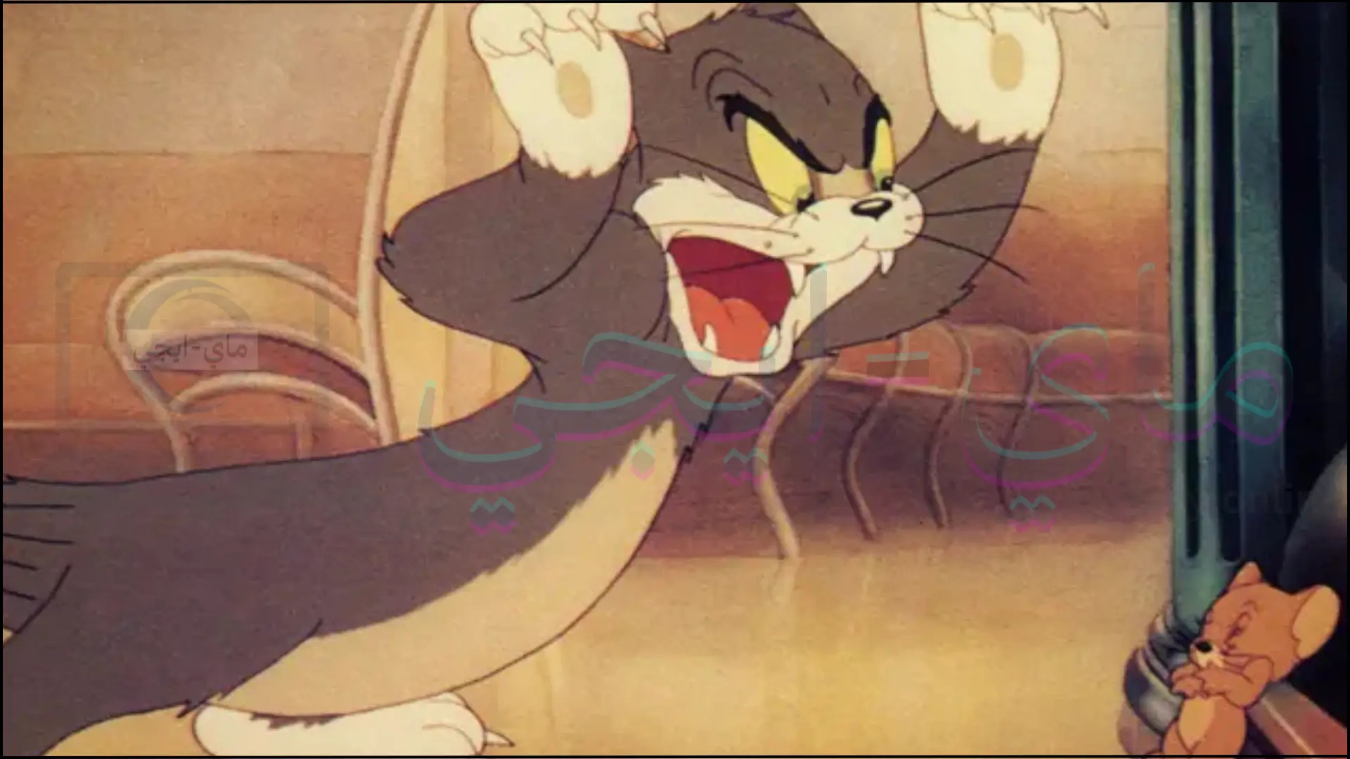 تحميل Tom and Jerry