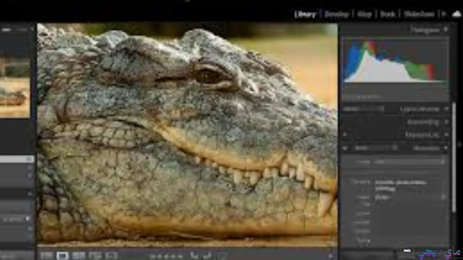 تحميل برنامج Adobe Photoshop Lightroom